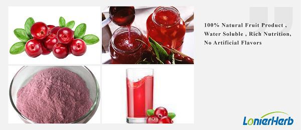 Cranberry Extract Powder