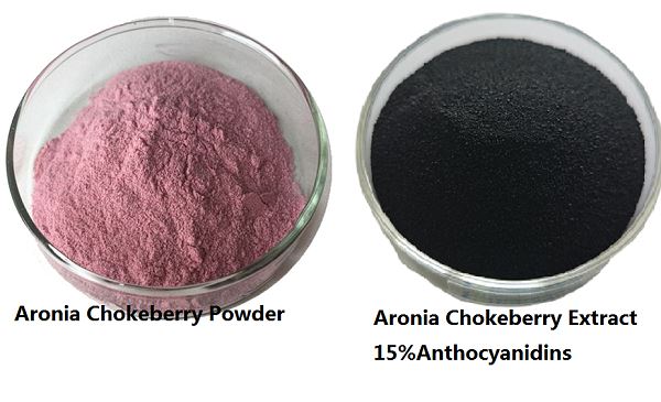 Aronia Chokeberry Extract