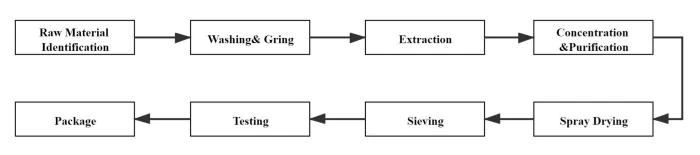 Processing Flow Chart