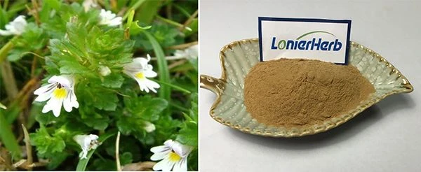 Eyebright Extract Powder