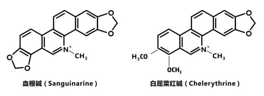 Sanguinarine, Chelerythrine