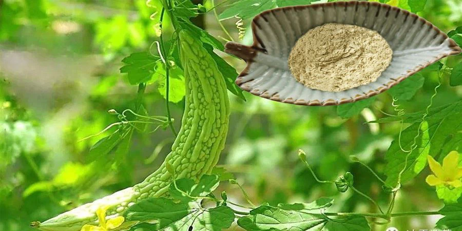Bitter Melon Powder