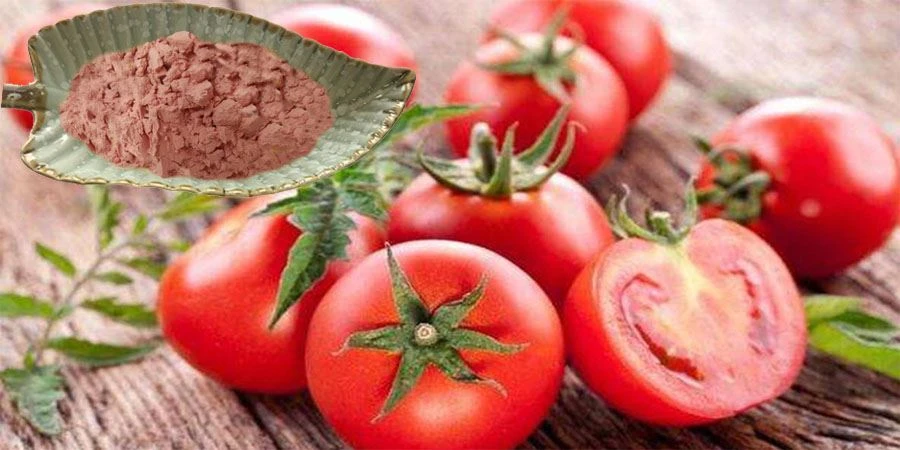 Spray Dried Tomato Powder
