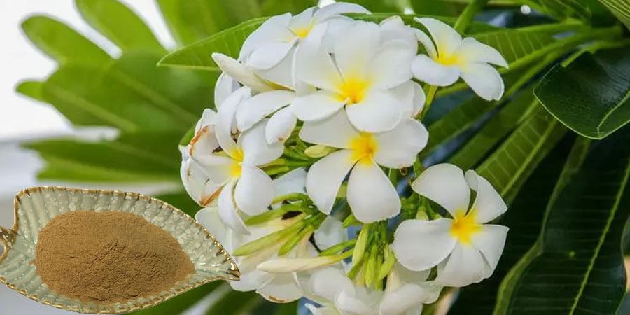 Egg Flower Extract Powder