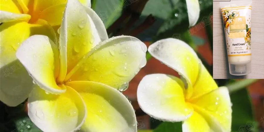 Egg Flower Extract Application