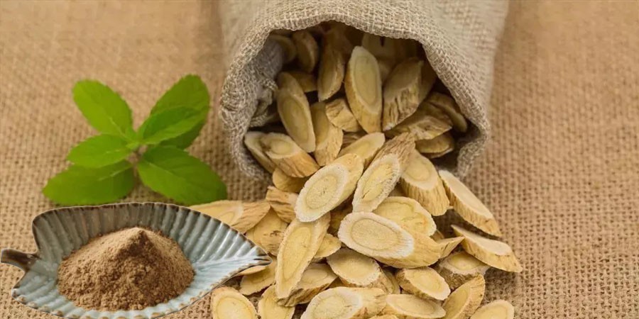 Astragalus Root Extract Powder