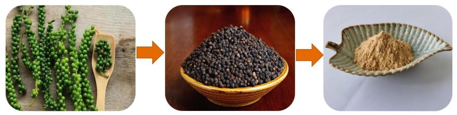 Piper Nigrum Extract ,50%Piperine