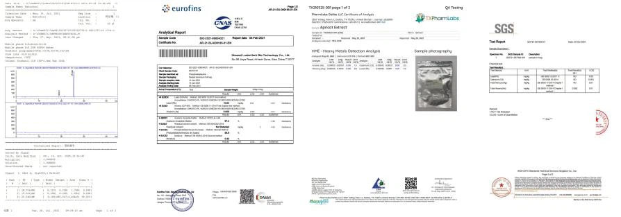 Test Report 2 Test Report 2