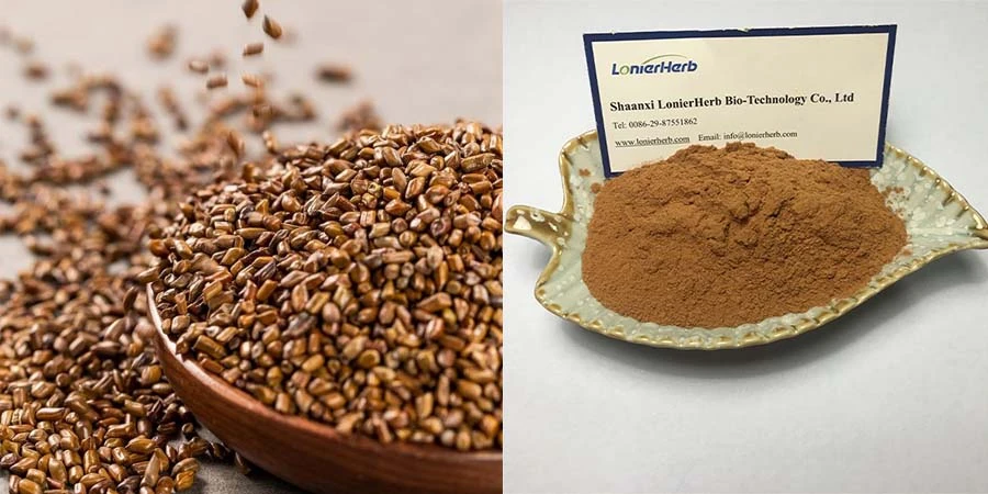 Cassia Seed Extract