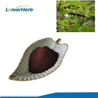 Phyllanthus ekstrakti