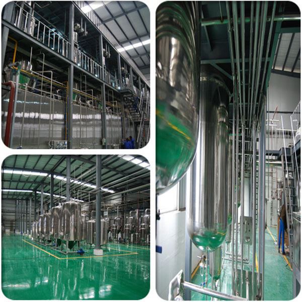 Camu Camu Fruit Powder