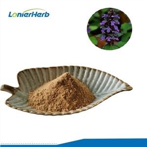 Ajuga Turkestanica ekstrakti kukuni