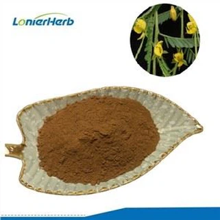 Cassia Nomame ekstrakti