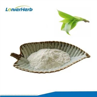 EGCG yashil choy ekstrakti