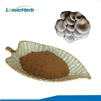 Pleurotus Ostreatus ekstrakti