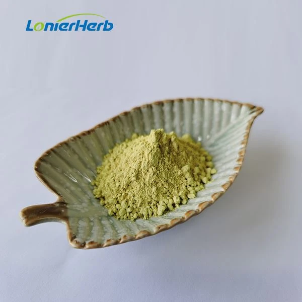 Sophora Japonica Extract Quercetin