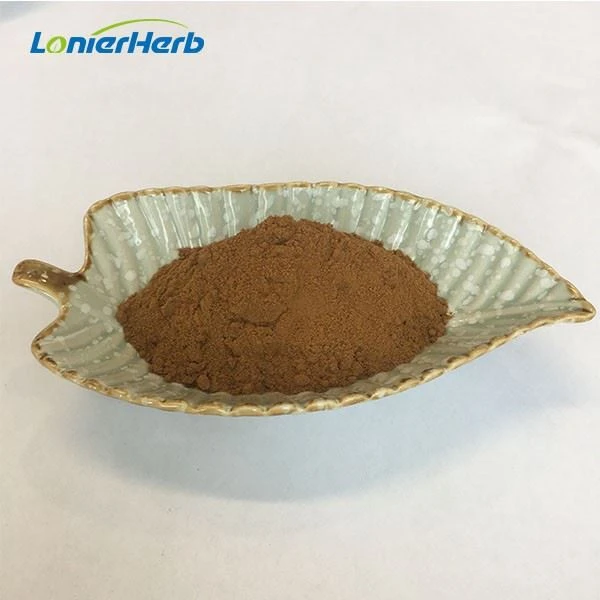 Turkey Tail Extract Powder
