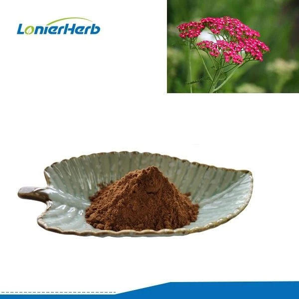 Yarrow ekstrakti