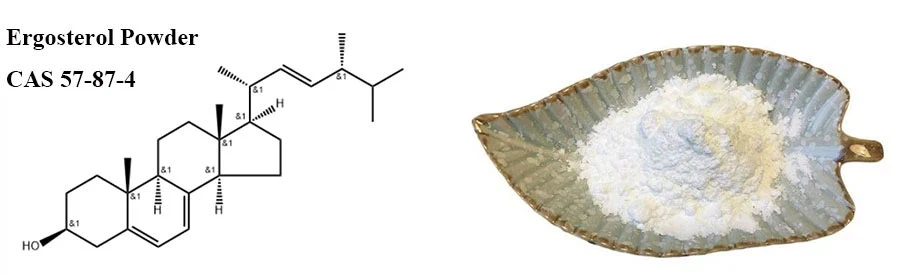 Ergosterol Powder Ergosterol Powder