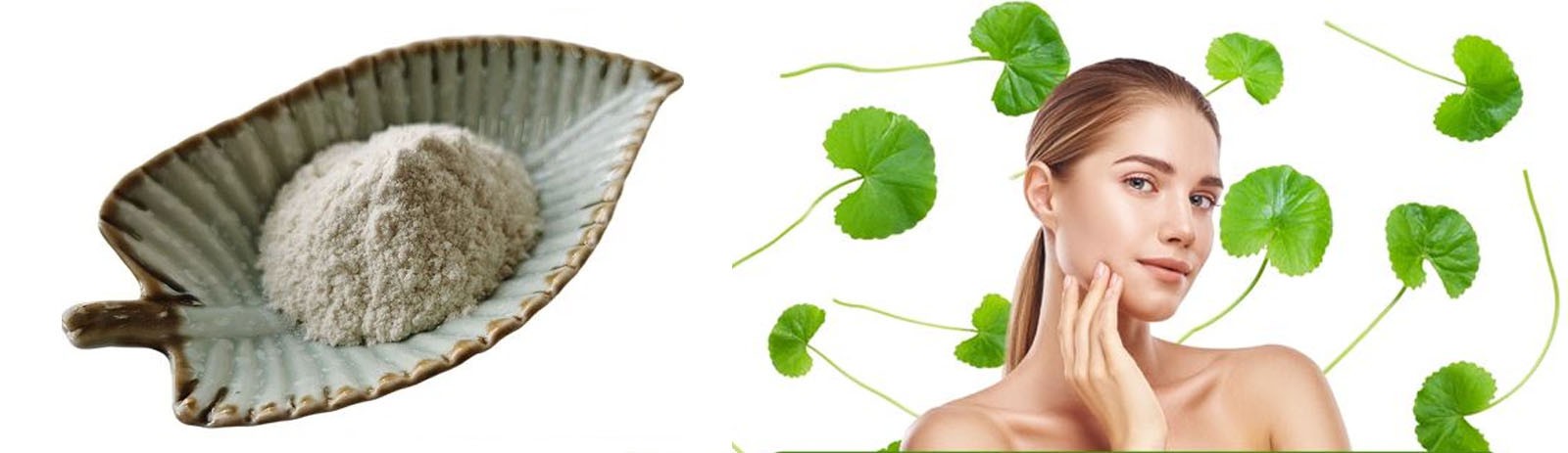 Lonierherb Madecassic Acid Lonierherb Madecassic Acid