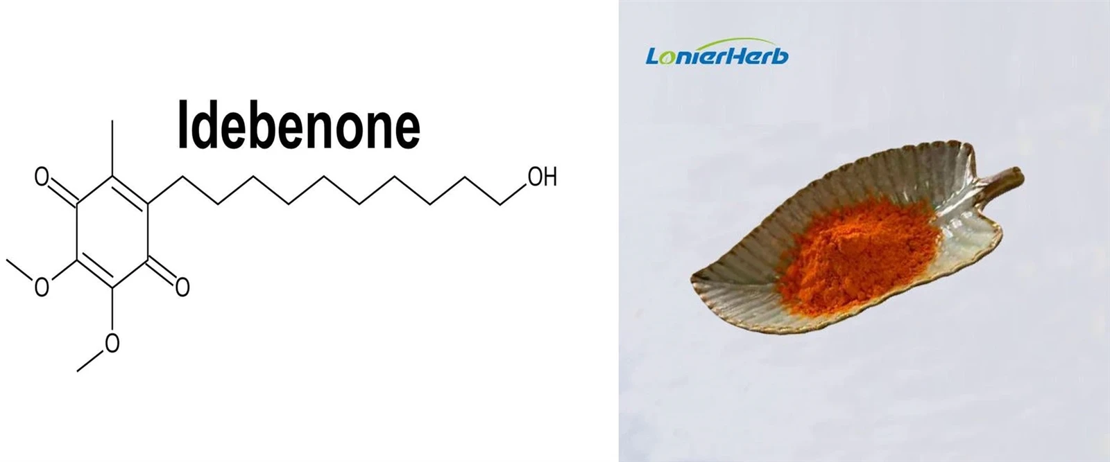 Idebenone Powder Idebenone Powder